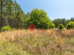 美国密西西比州Purvis的独栋别墅，None 703 AC +/- Purvis to Baxterville Rd.，编号77697984