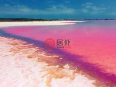 西班牙瓦伦西亚托雷维耶哈的独栋别墅，编号77647543