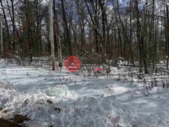 美国威斯康星州Keshena的农业用地，N1603 Spirit Ridge Road #37，编号77223316