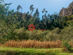 秘鲁库斯科Ollantaytambo的住宅用地，Valle de Chacchapata Lt 2，编号76423564