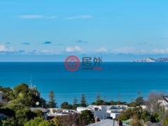 新西兰纳皮尔的独栋别墅，6 Fitzroy Road Bluff Hill，编号77981472