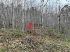 加拿大新斯科舍省Lunenburg Municipal District的住宅用地，Highway 10 Lot 5，编号73981377
