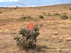 美国科罗拉多州沃尔森堡的住宅用地，None W Winds Rd，编号78348051