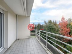 法国佩斯·德·拉·卢瓦尔河南特的公寓，编号78400087