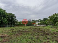 哥斯达黎加Nosara的住宅用地，Playa Pelada Nosara，编号78125108