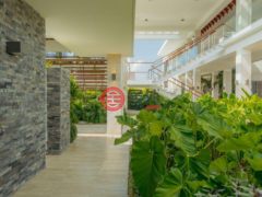 多明尼加La Altagracia ProvincePunta Cana的独栋别墅，Cap Cana，编号77886410