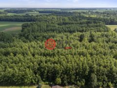 美国俄亥俄州马利安的公寓，River，编号78356720