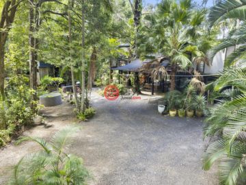 Doonan 3.3 Acreage property with council approved building envelope of 20 by 25 metres.