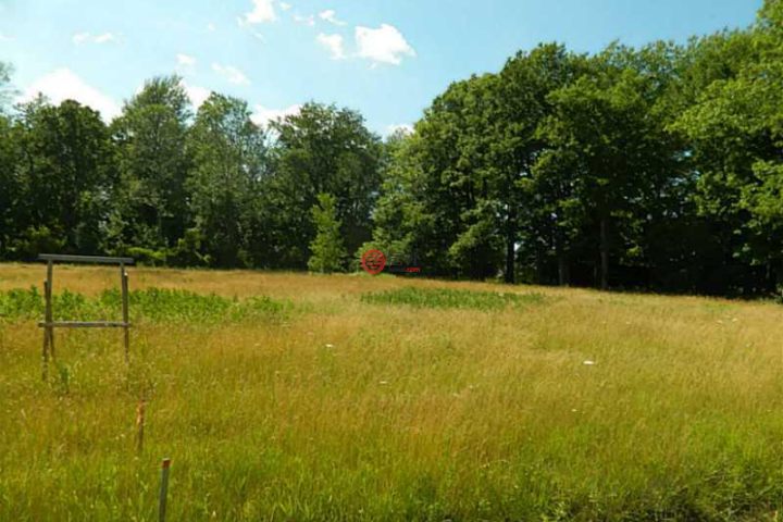 美国wheatfield的房产