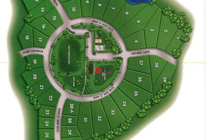 肯塔基gdp_肯塔基蓝草图片